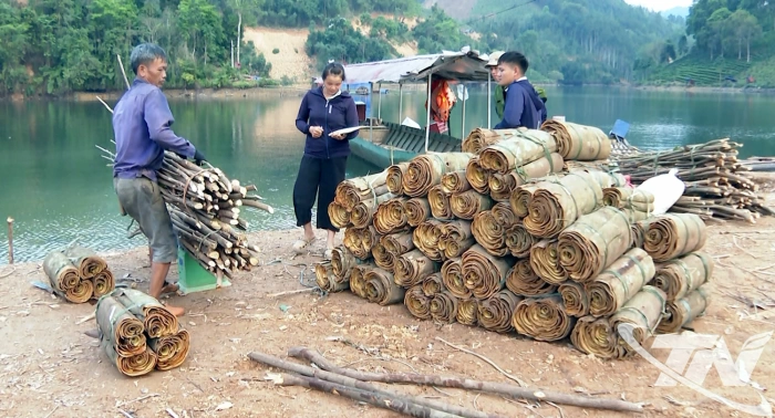 Bình Minh: Hướng đi mới từ quế và chè