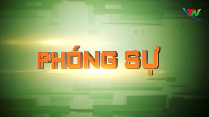 Liên kết chuỗi trong sản xuất: Động lực phát triển nông thôn mới bền vững