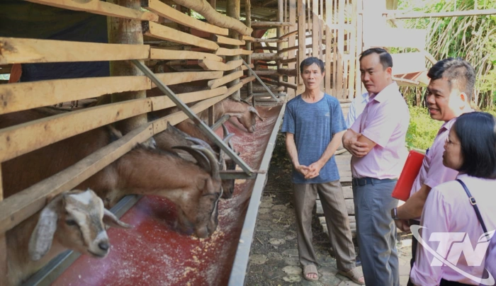 Tiếp tục nâng cao chất lượng tín dụng chính sách