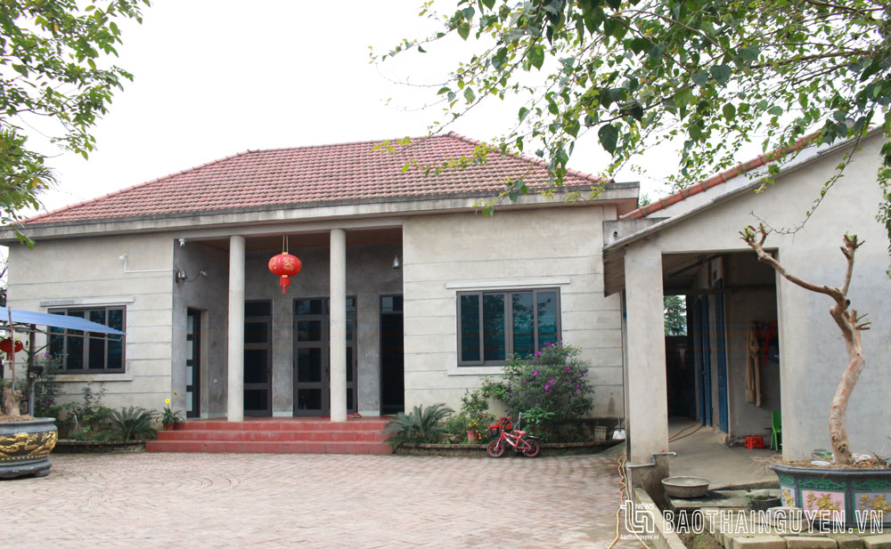 Khu vực đất giao khoán của Công ty CP Chè Quân Chu được gia đình anh Đặng Hữu Huy, thuộc tổ dân phố 2, thị trấn Quân Chu trồng cây ăn quả là xây dựng nhà ở.