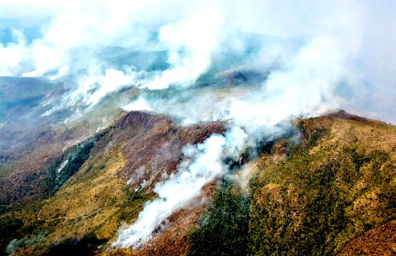 Khói bốc lên từ một đám cháy rừng ở Cuba. 