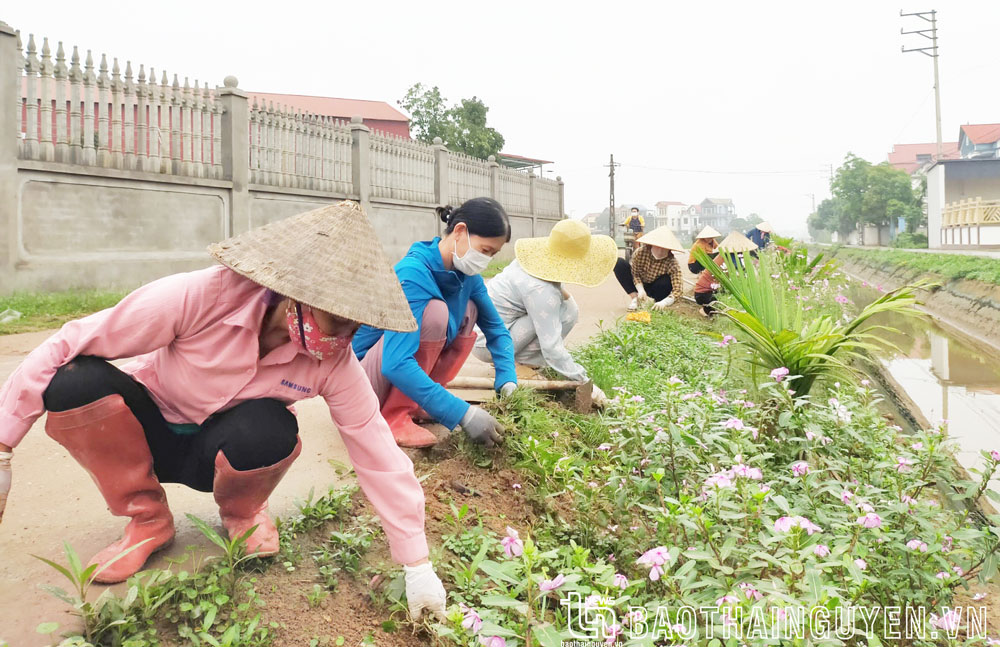 Hội viên Phụ nữ xã Dương Thành thường xuyên vệ sinh các tuyến đường xã, xóm và trồng cây, hoa 2 bên đường.