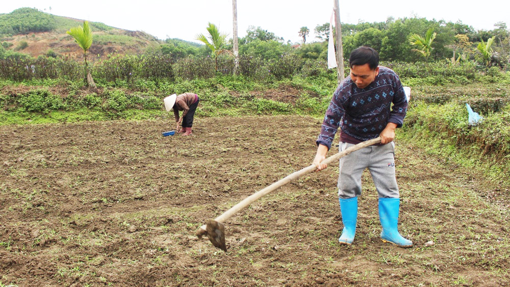 Người dân thị trấn Đu trồng cây hàng năm vụ xuân năm 2023 trên diện tích đất lúa.