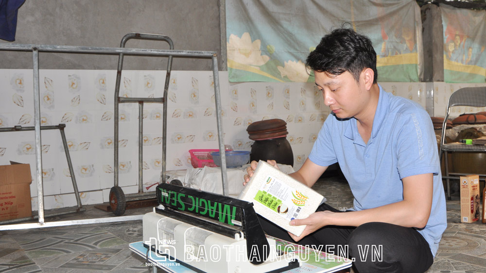 Anh Dương Văn Duy kiểm tra sản phẩm gạo nếp Thầu Dầu sau đóng gói.