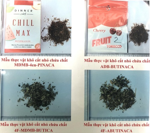 Nhiều loại ma túy mới xuất hiện tại Việt Nam.