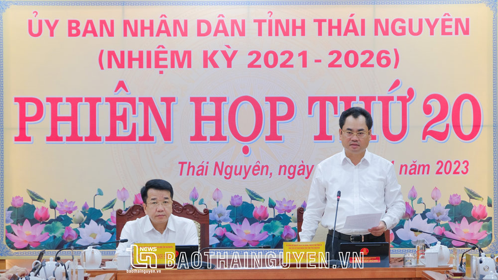 Đồng chí Chủ tịch UBND tỉnh Trịnh Việt Hùng phát biểu chỉ đạo tại Phiên họp.