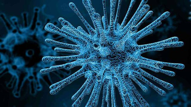Bằng chứng mới có thể tìm thấy một kho chứa bộ gen HIV ổn định trong các tế bào bạch cầu tuần hoàn gọi là bạch cầu đơn nhân. Ảnh: Thùy Chi