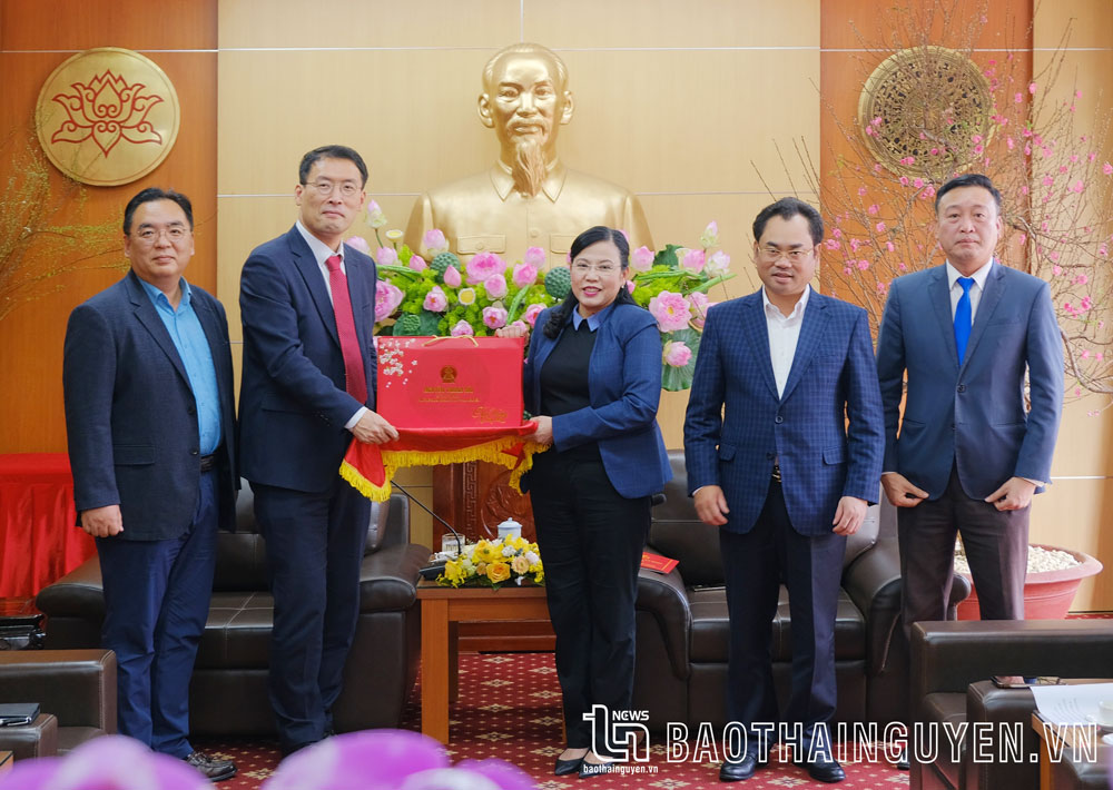 Các đồng chí lãnh đạo tỉnh Thái Nguyên tặng quà lưu niệm cho đại diện Công ty SEMV.