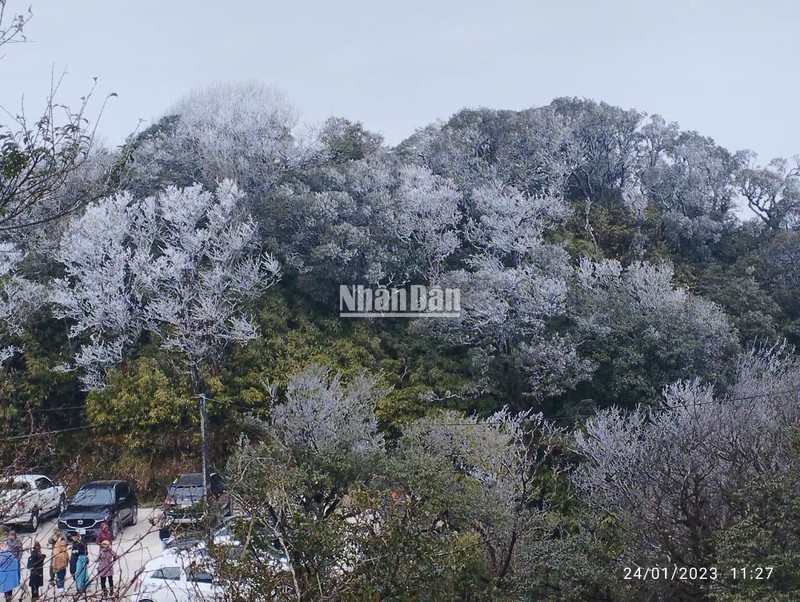 Du khách thích thú chụp ảnh, lưu lại những khoảnh khắc đẹp trên đỉnh núi Phja Oắc (Cao Bằng).