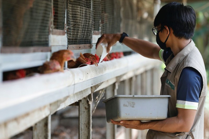 Trong 11 tháng đầu năm 2022, 919.071 người tại Indonesia mất việc làm do bị sa thải. (Ảnh: Reuters)