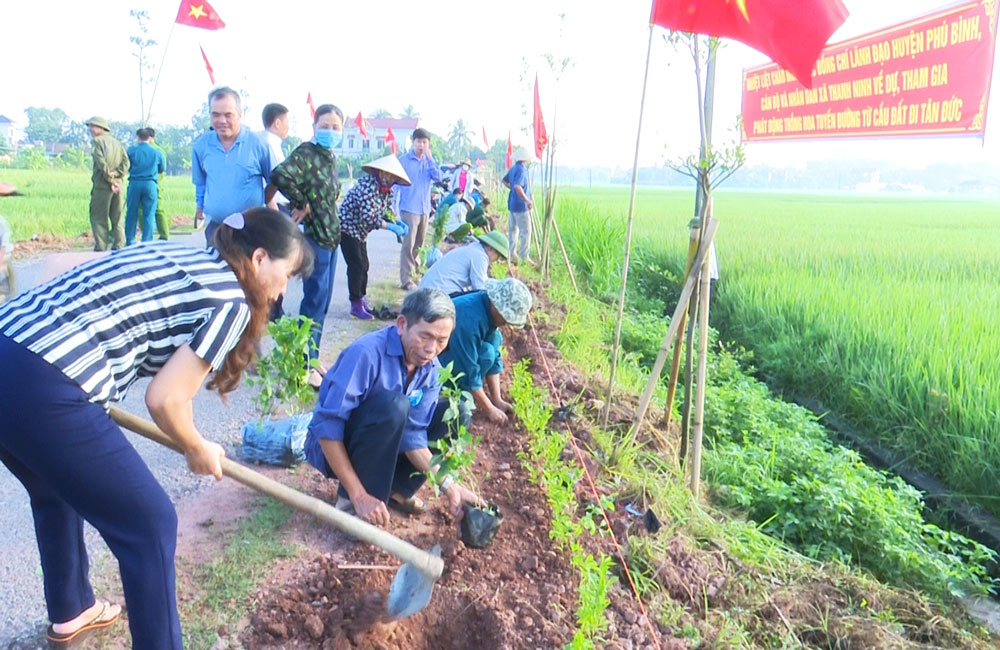 MTTQ xã Thanh Ninh tô chức trồng cây tại tuyến đường liên xã Thanh Ninh- Tân Đức dài 2,5km