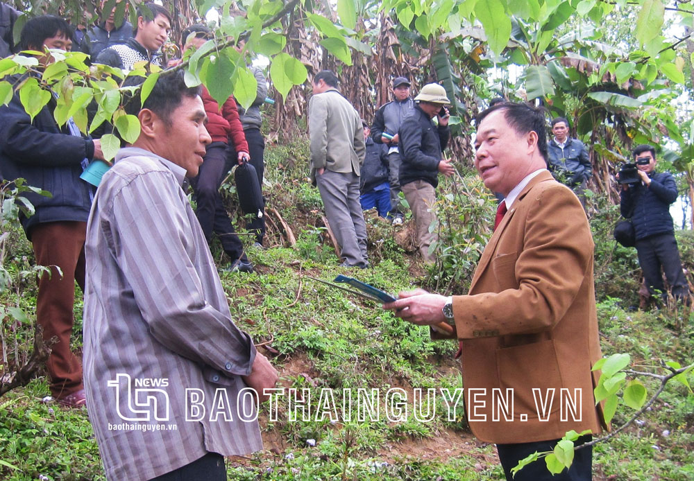 Giáo sư Đào Thanh Vân (bên phải) trong buổi tập huấn, chuyển giao khoa học kỹ thuật trồng giống Lê VH6 cho nông dân xã Hồng Thái, huyện Na Hang (Tuyên Quang).