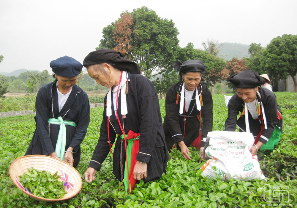 太原省山泽民族人的传统女服装。