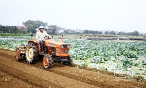 Để có vụ xuân thắng lợi