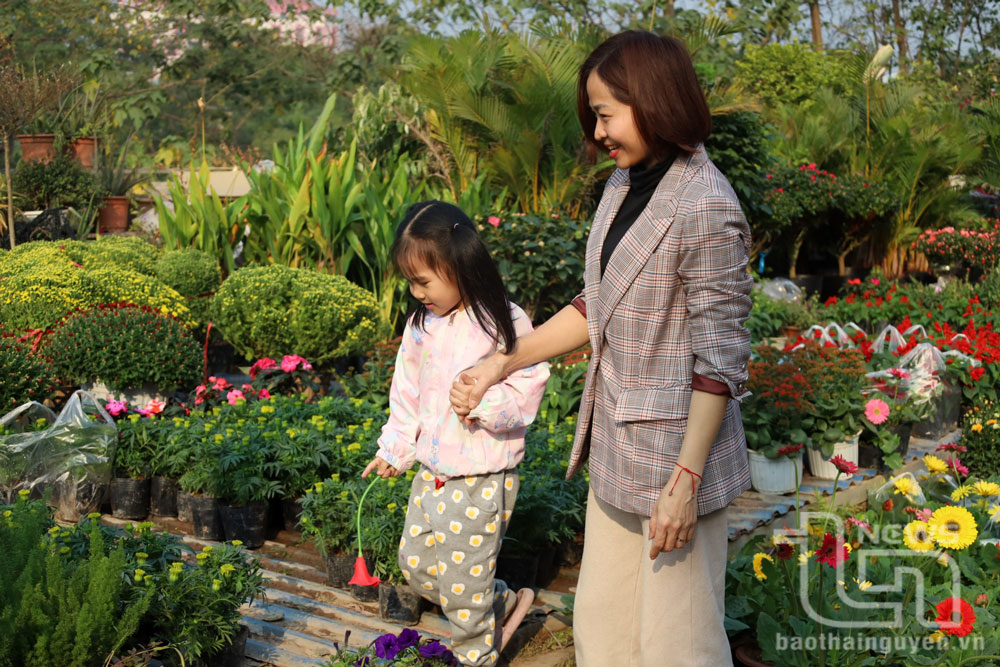 The people feel happy when they choose Tet flowers.