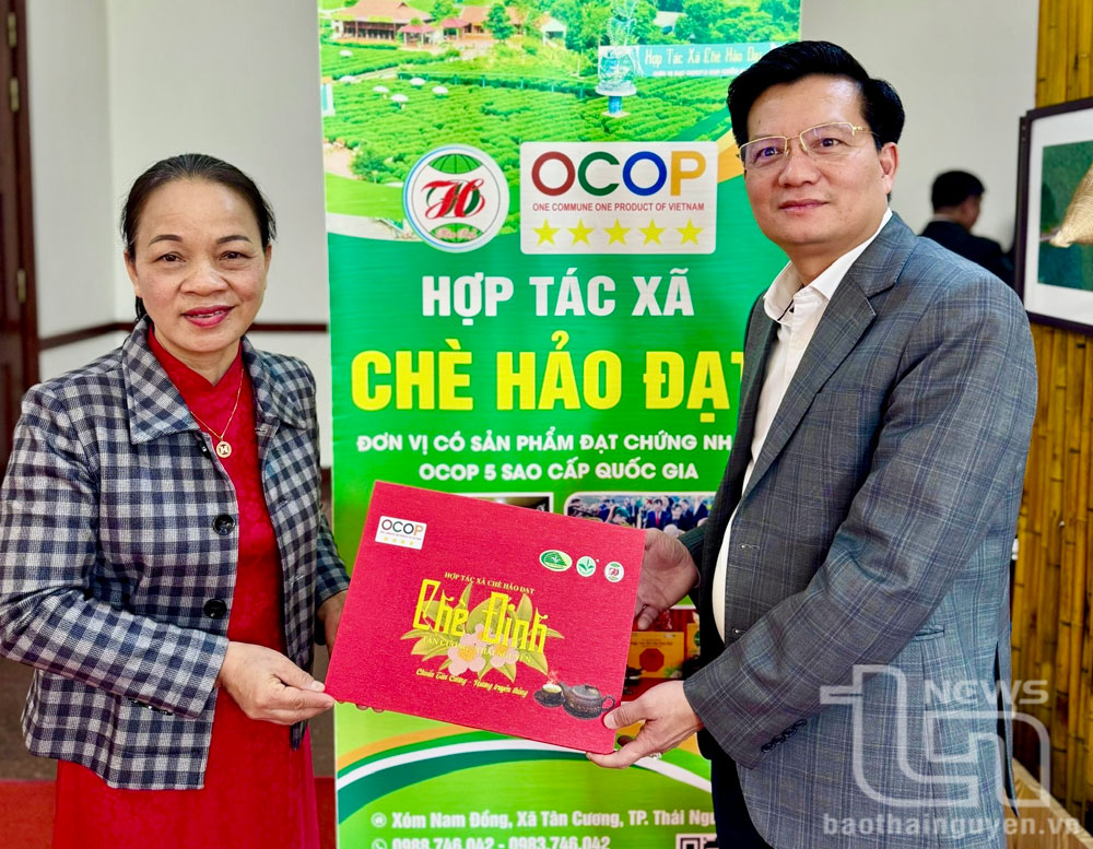 하오닷(Hảo Đạt) 차 협동조합의 중앙급OCOP 5성 표준을 도달한 것으로 평가된 제품