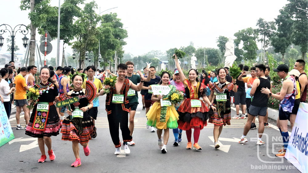 Hiện trên địa bàn tỉnh có 33,2% số người thường xuyên tập luyện thể thao.