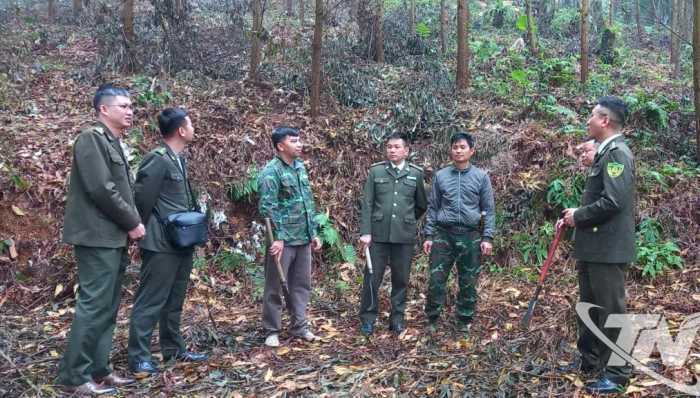 Bảo vệ 'lá chắn xanh'