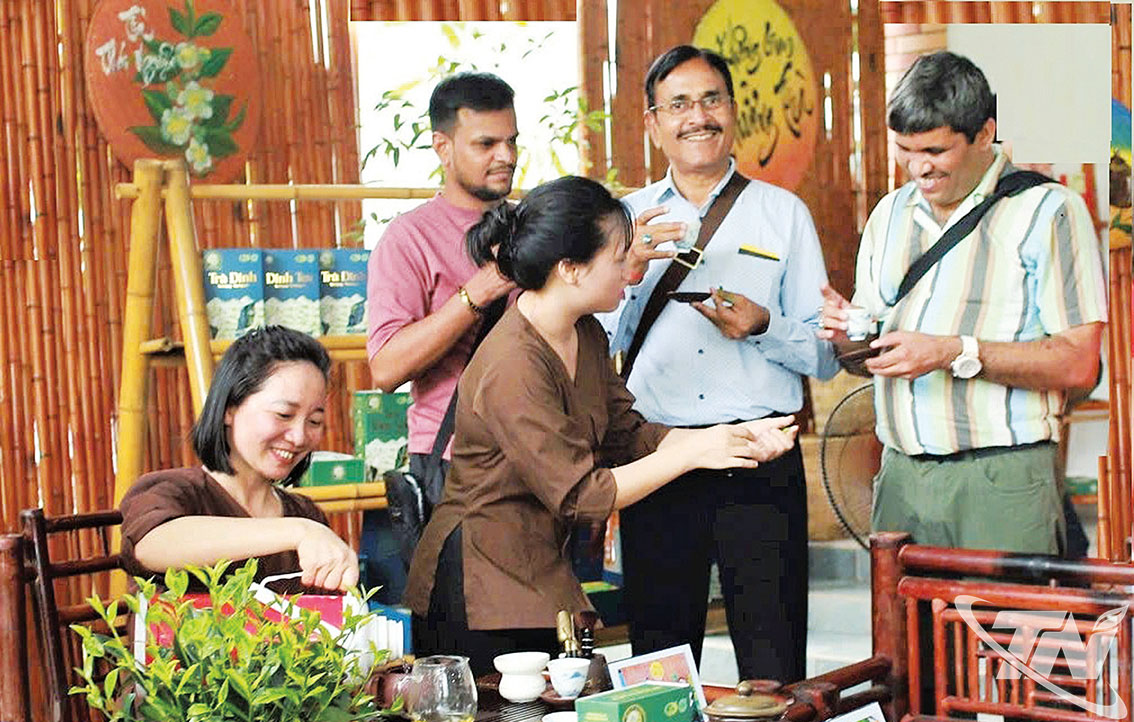 Du khách quốc tế thưởng trà và tìm hiểu về nghề trồng, chế biến chè Thái Nguyên.