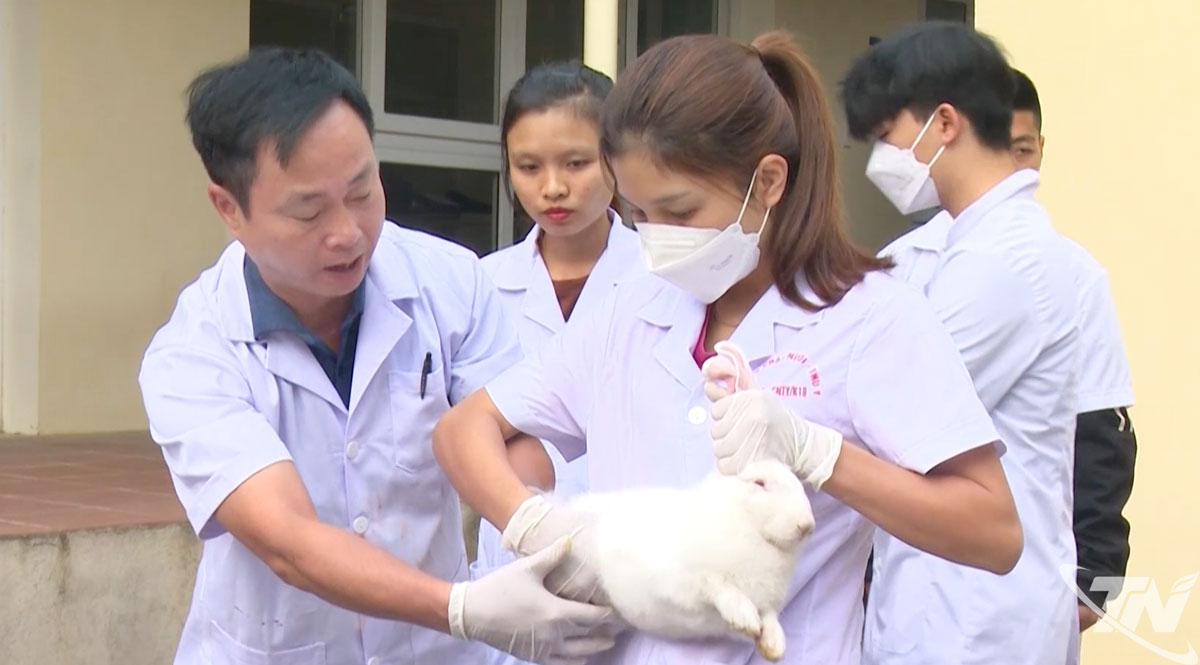 Học viên tham gia thực hành nghề thú y.