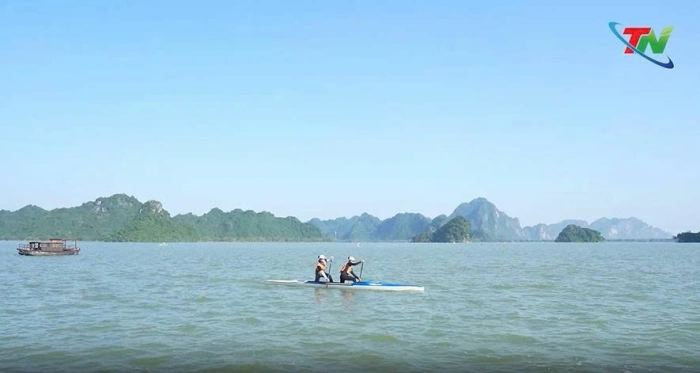 Những 'bông hồng' trên sóng nước