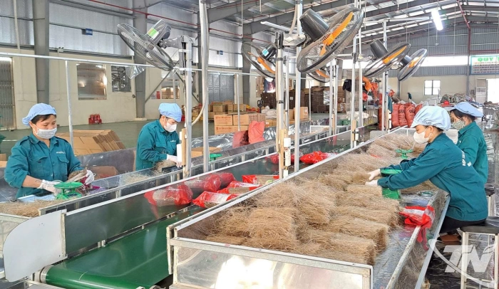 Hợp tác xã 'chạy nước rút' phục vụ thị trường Tết