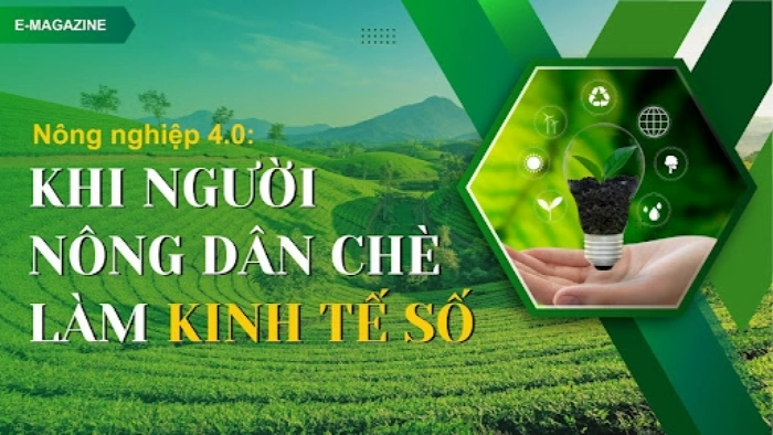 Nông nghiệp 4.0: Khi nông dân chè làm kinh tế số