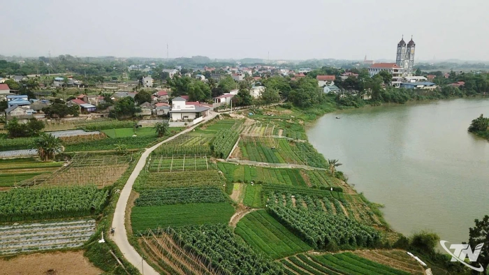 Vươn lên những mầm xanh hy vọng