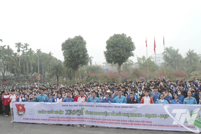 Hơn 1.000 thanh niên, sinh viên ra quân vệ sinh môi trường, chỉnh trang đô thị