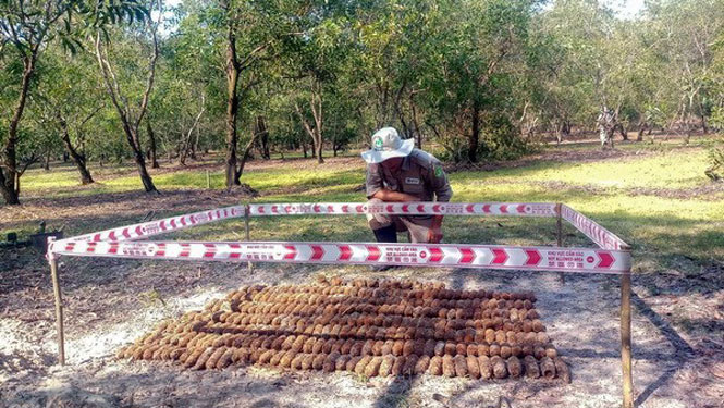 Các vật liệu nổ do Dự án NPA/RENEW phát hiện tại một hầm đạn tại thôn An Mỹ, xã Gio Mỹ, huyện Gio Linh, tỉnh Quảng Trị. (Ảnh: TTXVN phát)