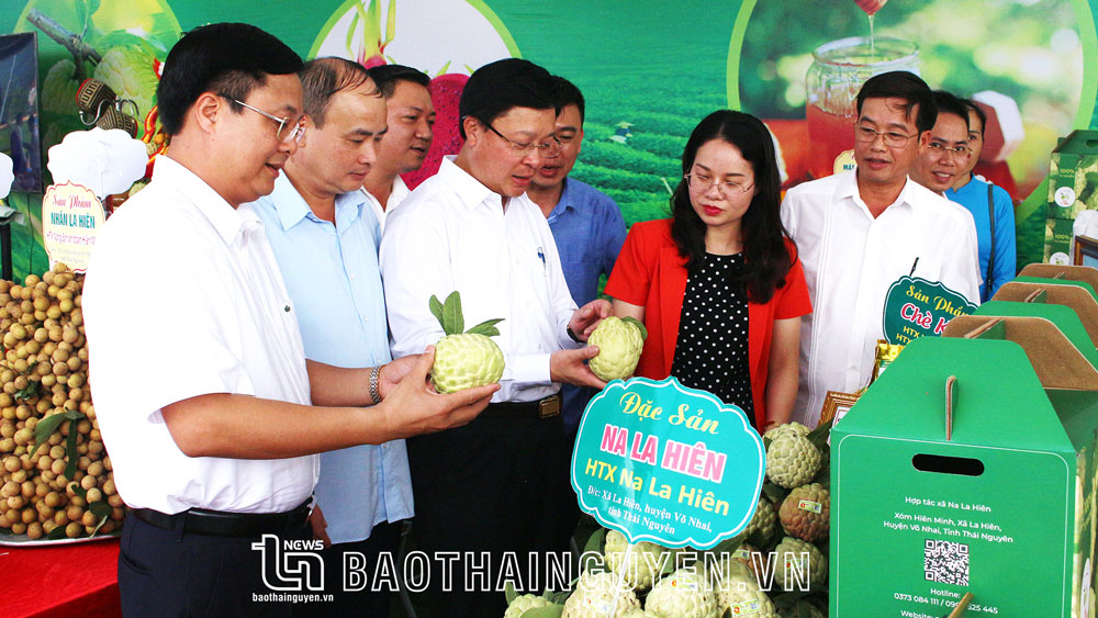 Huyện Võ Nhai đã tổ chức trưng bày, giới thiệu sản phẩm nông nghiệp của địa phương tại Điểm du lịch cộng đồng xóm Mỏ Gà, xã Phú Thượng đồng thời tổ chức các tua thăm quan vườn cây ăn quả phục vụ khách du lịch