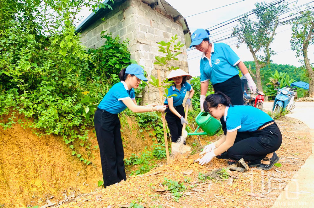 Phụ nữ xã Yên Đổ (Phú Lương) trồng cây xanh dọc các tuyến đường trong xã.