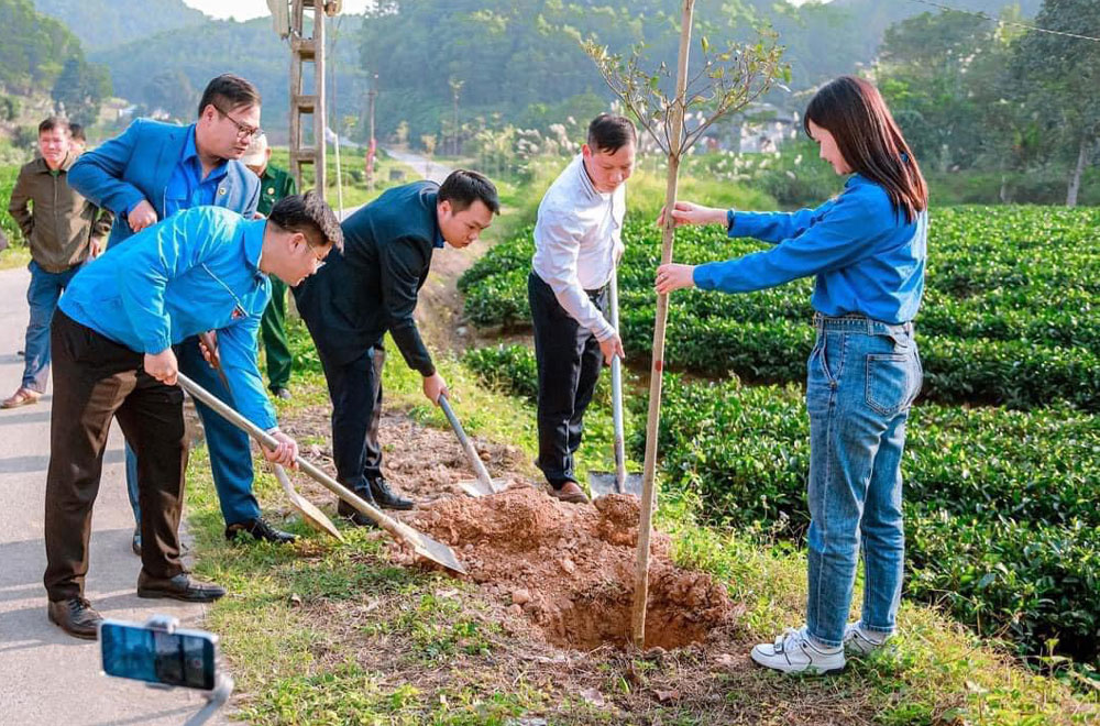 Đoàn viên thanh niên TP. Thái Nguyên tham gia trồng cây xanh tại xã Yên Lạc (Phú Lương).