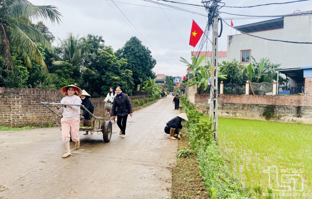 Người dân xóm Nguộn, xã Dương Thành (Phú Bình), tham gia vệ sinh, trồng hoa tại tuyến đường liên xóm.