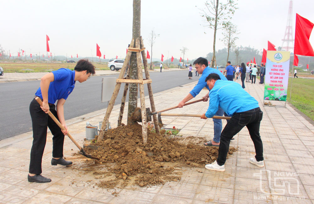 Đoàn viên, thanh niên TP. Thái Nguyên tham gia trồng cây tại Lễ phát động.