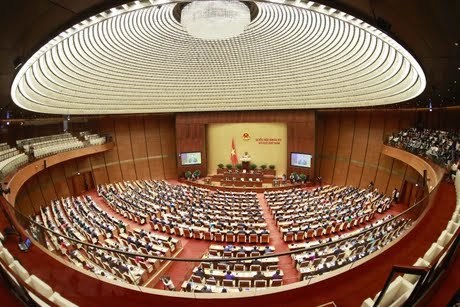 附图：越南国会常委会第三十次会议就两项法案建言献策。图自越通社