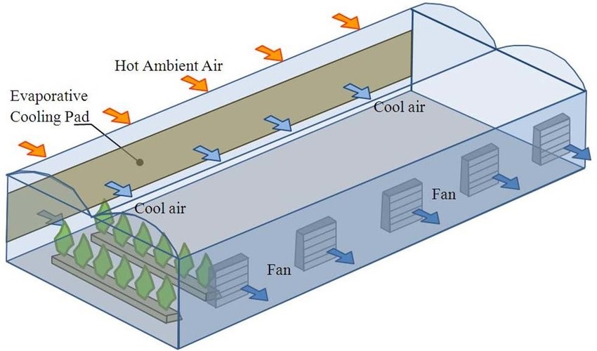 
Hệ thống làm mát cooling pad áp suất âm