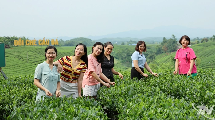 Đánh thức miền xanh xứ trà