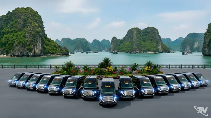 Xuân trên những hành trình Hà Lan