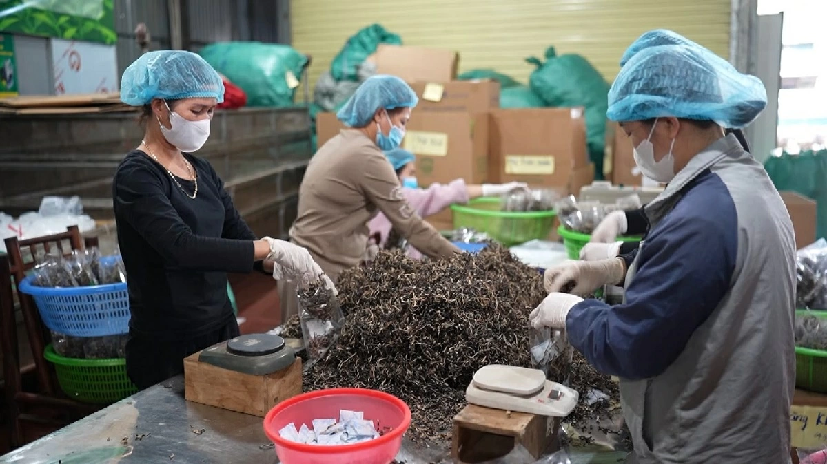 일러스트 사진.