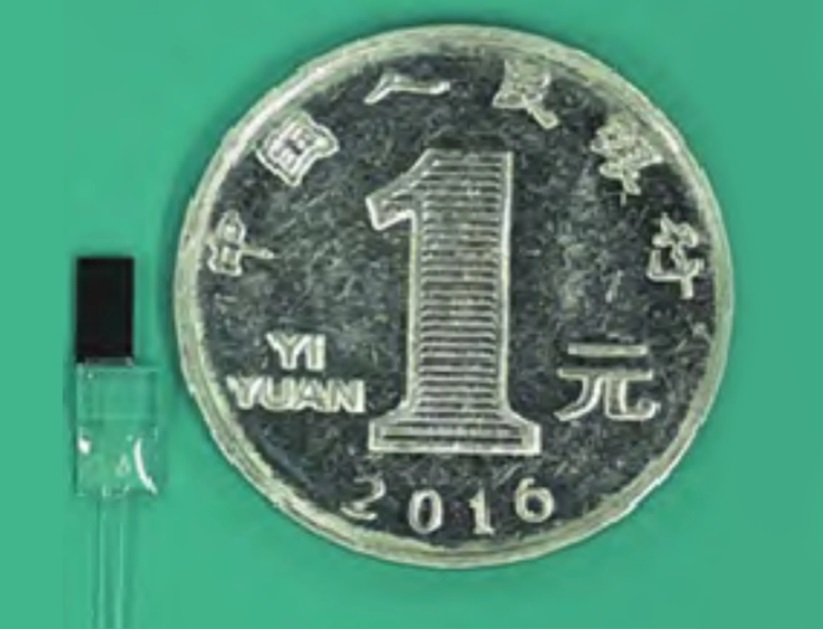 Kích thước của con quay hồi chuyển (trái) so với đồng xu. Ảnh: SCMP
