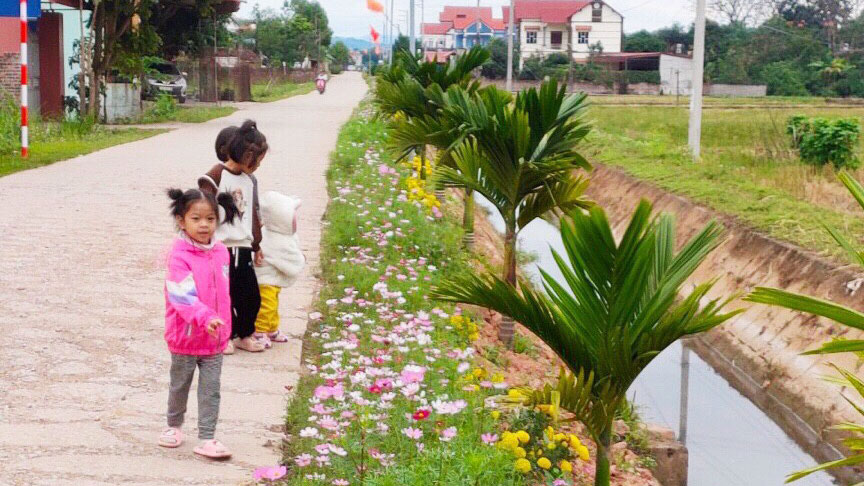Tuyến đường hoa ở xã Dương Thành( Phú Bình).
