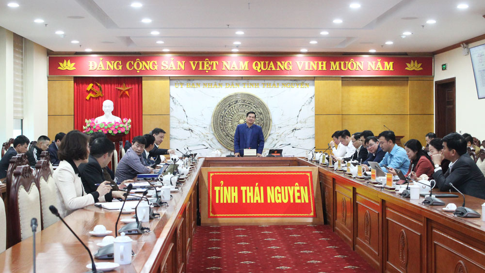 Đồng chí Lê Quang Tiến, Phó Chủ tịch UBND tỉnh phát biểu chỉ đạo tại cuộc họp.