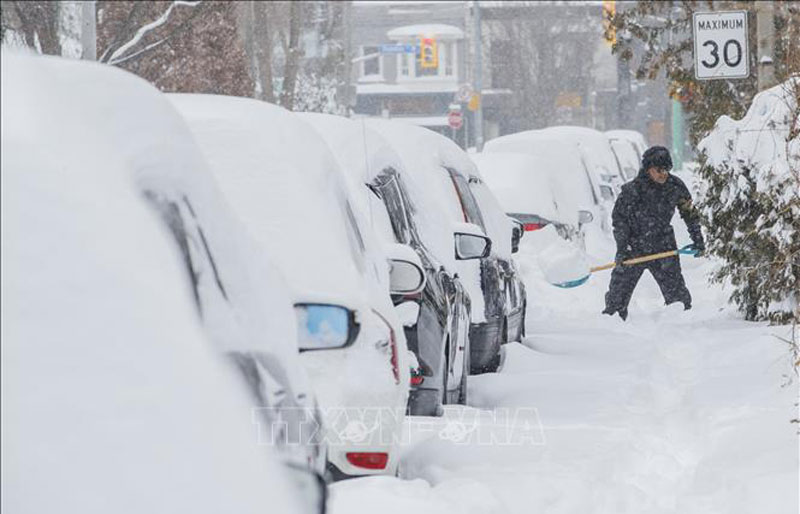 Các phương tiện bị tuyết phủ kín tại Montreal, tỉnh Quebec, Canada. Ảnh tư liệu: AFP/TTXVN