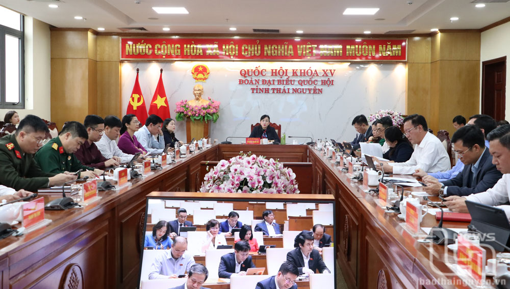 Đồng chí Nguyễn Thanh Hải, Ủy viên Trung ương Đảng, Bí thư Tỉnh ủy, Trưởng Đoàn đại biểu Quốc hội tỉnh và các đại biểu tại điểm cầu Thái Nguyên.