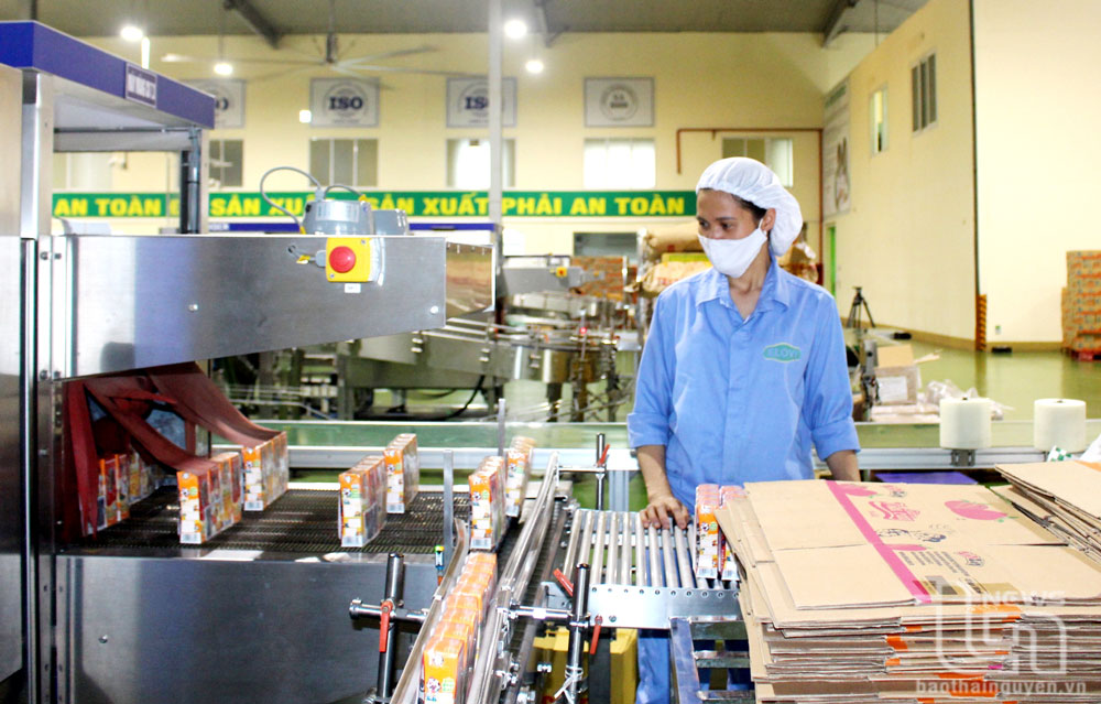 Đóng gói sản phẩm sữa tại Công ty CP Elovi Việt Nam (Khu công nghiệp Nam Phổ Yên). 