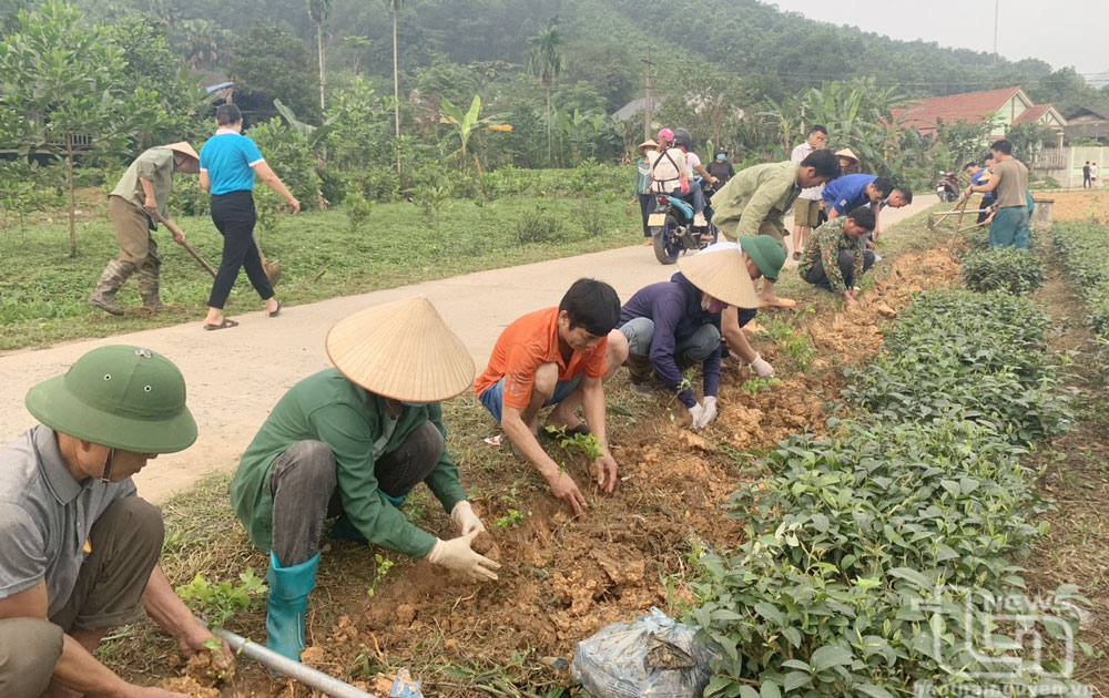 Người dân xã Yên Lạc (Phú Lương) thường xuyên tham gia dọn dẹp đường làng, ngõ xóm và trồng cây xanh.