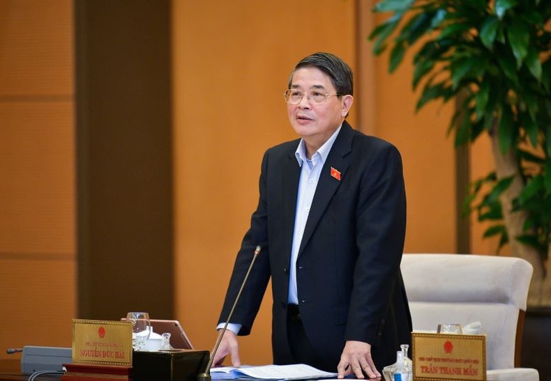 Phó Chủ tịch Quốc hội Nguyễn Đức Hải phát biểu.
