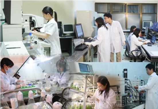 Network of public science and technology organizations approved