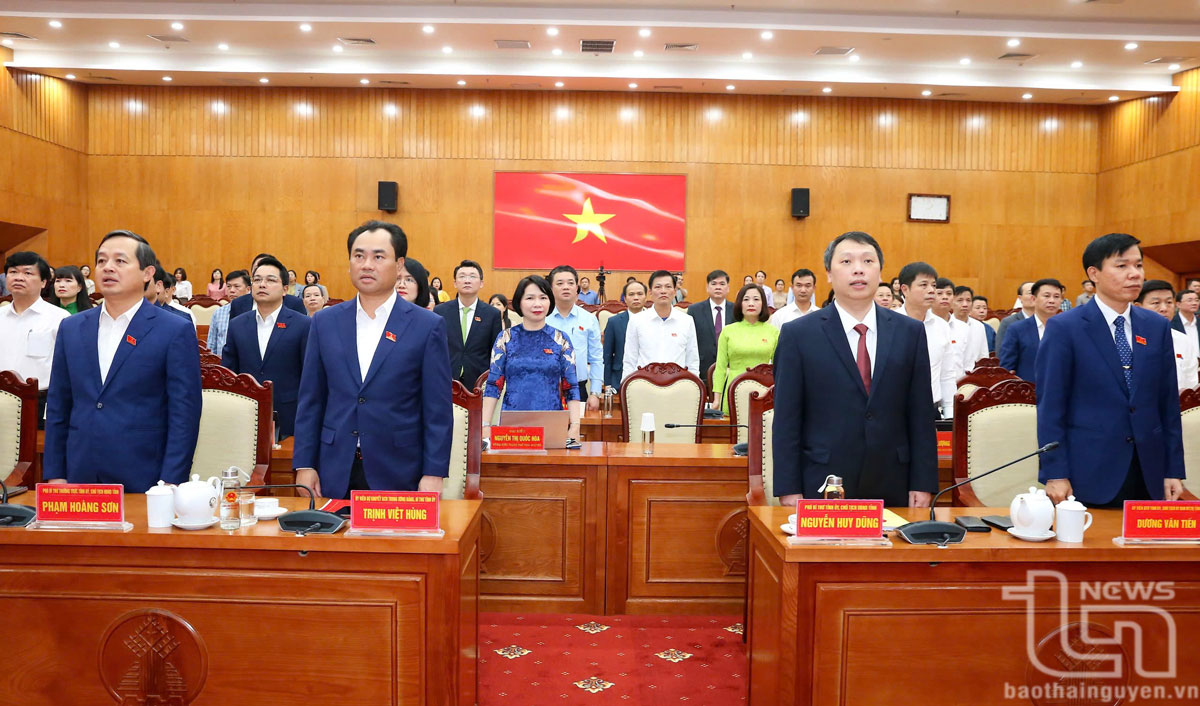 Các đại biểu chào cờ.